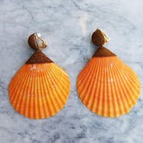 Shell Earrings - Orange - Villa Yasmine